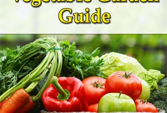 Vegetable Garden Guide